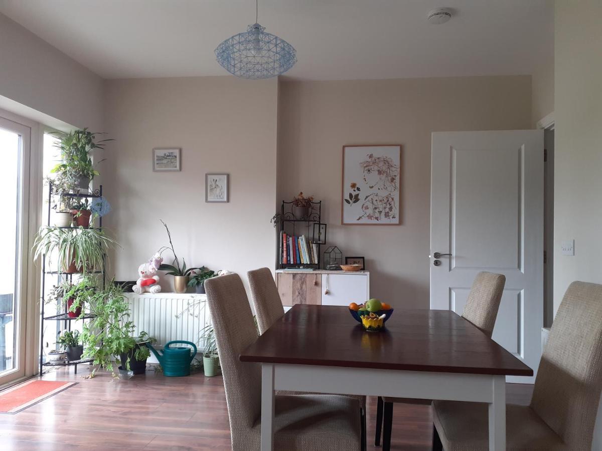Ensuite At The Foot Of Dublin Mountains Exteriör bild
